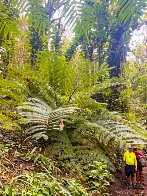 Private Waterfall, Rainforest & Handcrafted Chocolate Tour - Customer Reviews