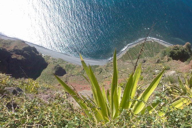 Private Waterfalls and Fanal Forest Tour - Key Points
