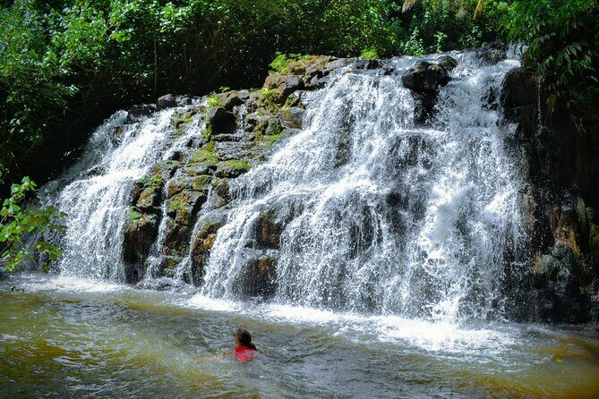 Private Waterfalls Hike and Swim in Lihue - A Closer Look at the Tour: What to Expect