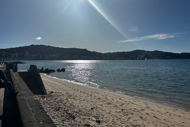 Private Wellington City Highlight Tour - Meeting and Pickup