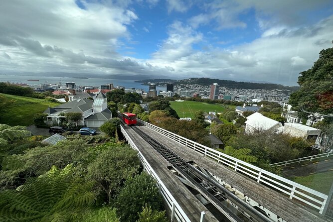 Private Wellington City Highlight Tour - Accessibility and Participation