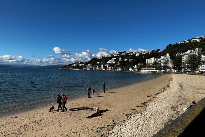 Private Wellington City Highlight Tour - Booking Information