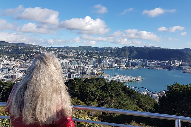 Private Wellington Full Day Sightseeing Tour - Pricing and Booking Options