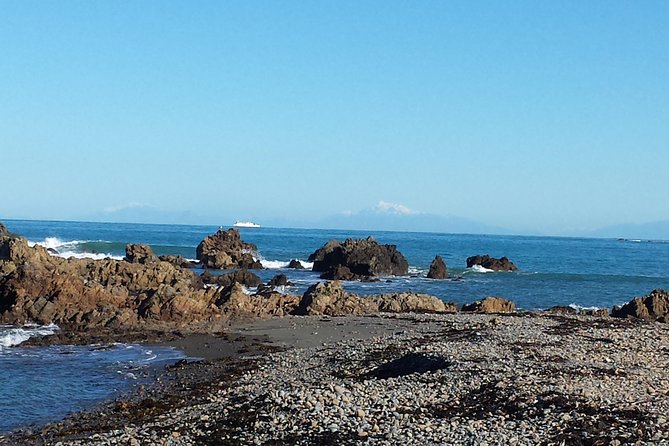 Private Wellington Full Day Sightseeing Tour - Private Vehicle and Transportation