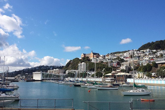 Private Wellington Full Day Sightseeing Tour - Wellington Sightseeing Experiences