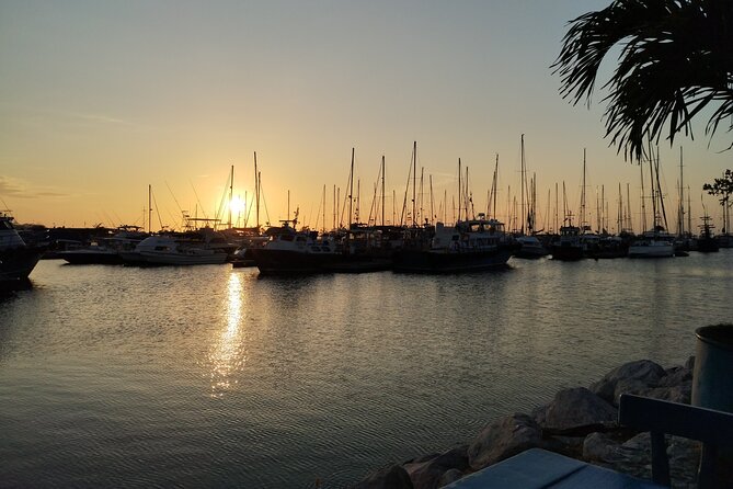 Private Wellness Tour in Santa Marta 4 Days - Pricing and Cancellation Policy