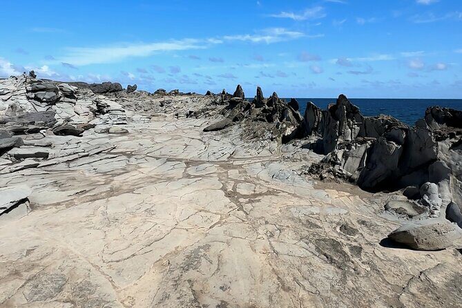 Private West Maui Coastline Open-Air Jeep Tour - Authentic Feedback from Travelers