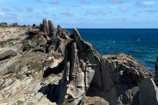 Private West Maui Coastline Open-Air Jeep Tour - The Sum Up