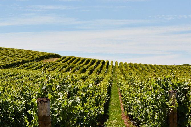 Private West Tamar Wine Tour Book at least 3 days in advance - Key Points