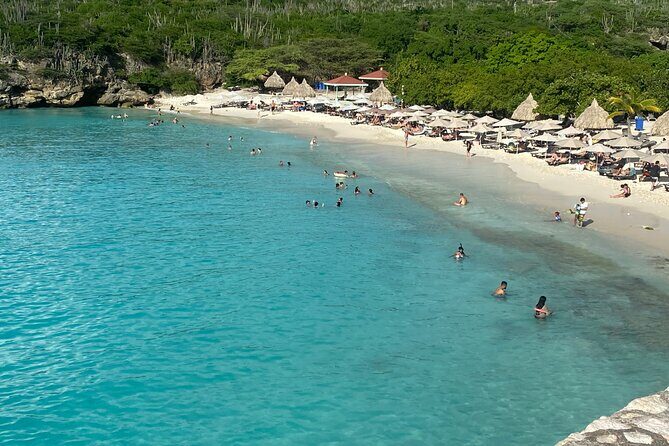 Private Westcoast Beachhop Tour. Turtle beach, grote knip & More - The Itinerary in Detail: What You’ll Experience