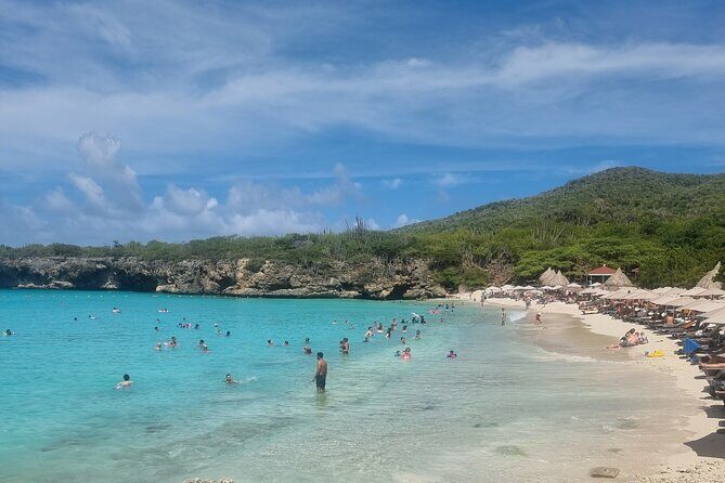Private Westcoast Beachhop Tour. Turtle beach, grote knip & More - Final Thoughts: Who Will Love This Tour?