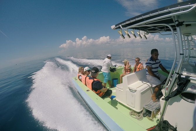 Private Whale Shark All Inclusive Experience - Natural Reserve Fee