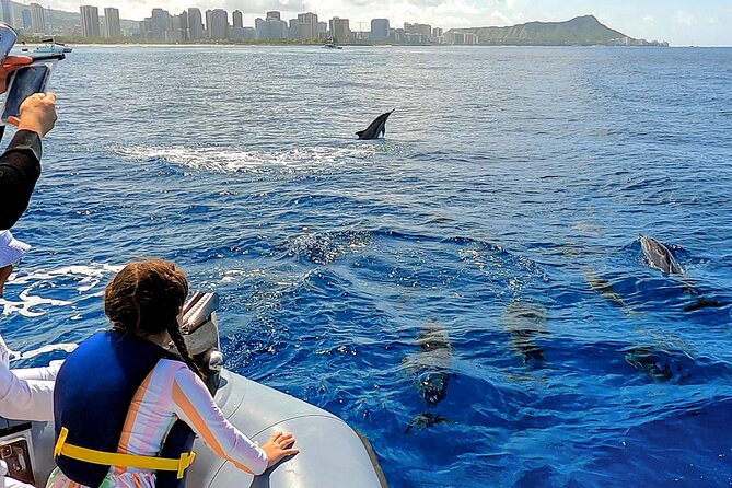 Private Whale Watching Adventure - Private Tour Details