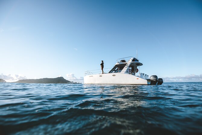 Private Whale Watching and Coastal Swimming Tour Honolulu - Meeting Point and Parking