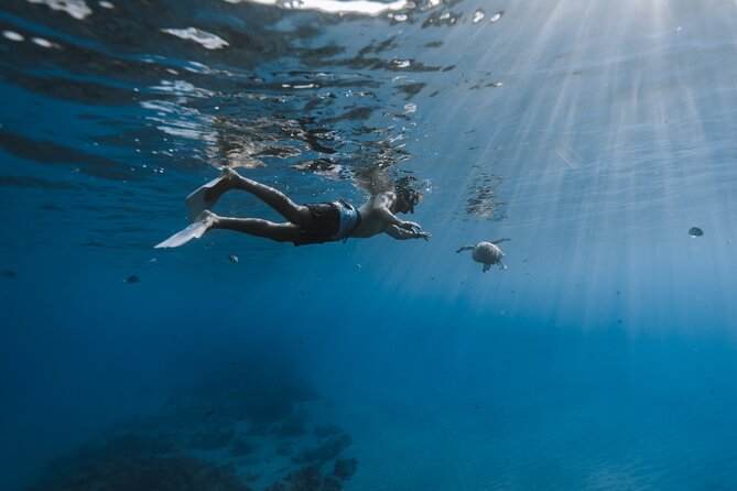 Private Whale Watching and Coastal Swimming Tour Honolulu - Tour Duration and Accessibility