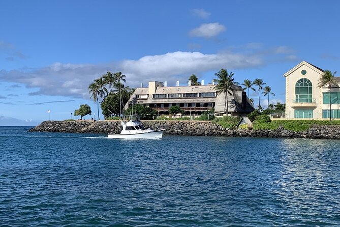Private Whale Watching and Dolphin Excursion - Reviews and Feedback