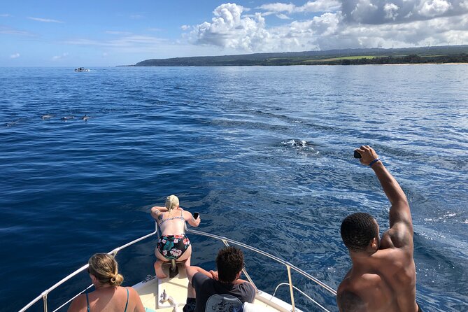 Private Whale Watching Safari From North Shore Oahu - Booking Information