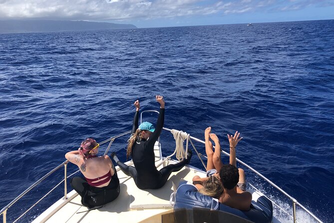 Private Whale Watching Safari From North Shore Oahu - Frequently Asked Questions