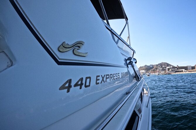 PRIVATE Whale Watching Tour and Snorkeling Tour Cabo San Lucas - Meeting Point