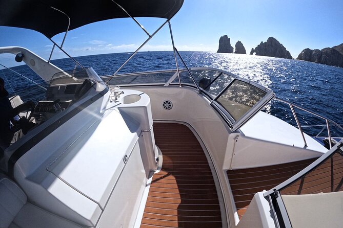 PRIVATE Whale Watching Tour and Snorkeling Tour Cabo San Lucas - Customer Experiences
