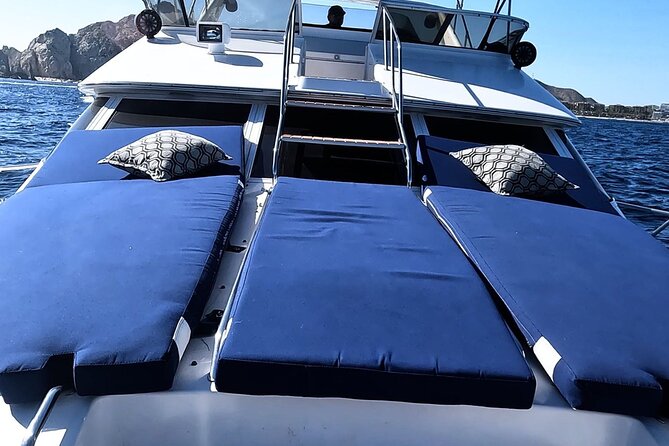PRIVATE Whale Watching Tour and Snorkeling Tour Cabo San Lucas - Snorkeling Opportunities