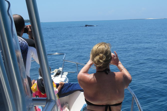 Private Whale Watching Tour at the Pearl Islands Departing From Panama City - Overview of the Private Tour