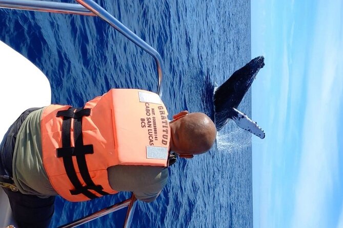 Private Whale Watching Tour!! - Customer Feedback Highlights