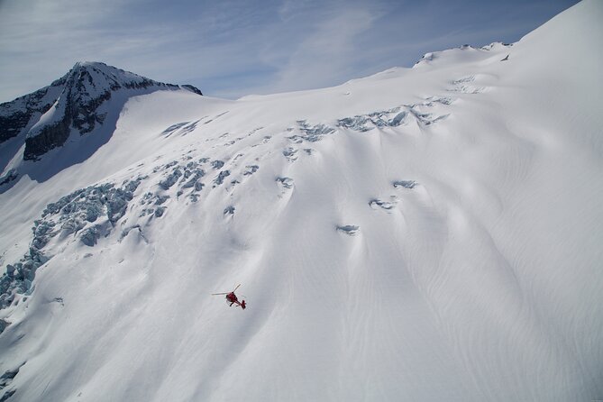 Private Whistler Helicopter Tour + Mountain Landing - Booking and Reservation Details