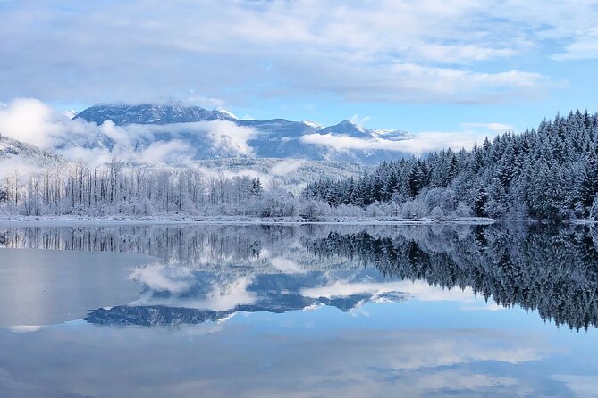 Private Whistler Sightseeing Tour: Discover All of Whistler in Comfort! - Inclusions and Accessibility