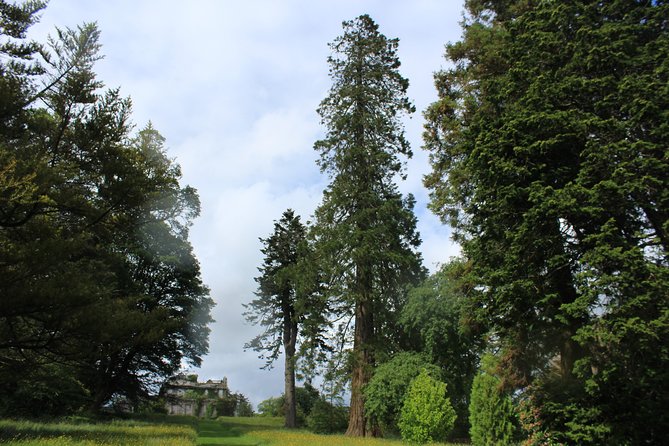 Private Wicklow Mountains Day Tour - Traveler Feedback
