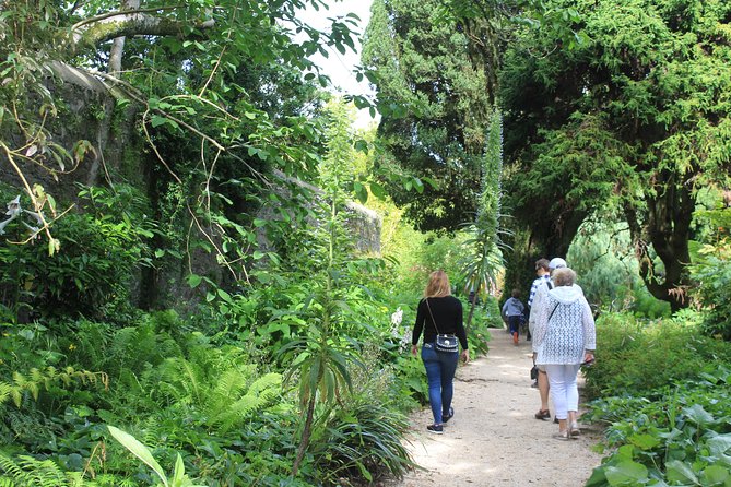 Private Wicklow Mountains Day Tour - Monastic Settlement
