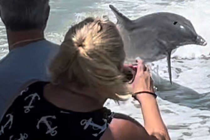 Private Wild Dolphin Boat Tour - Booking and Cancellation