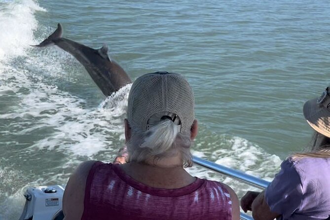 Private Wild Dolphin Boat Tour - Guided by Certified Naturalist