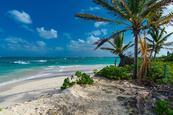 PRIVATE- Wild Dominican Sancocho Cooking Adventure! - Experience Overview