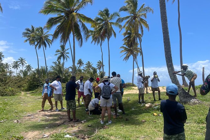 PRIVATE- Wild Dominican Sancocho Cooking Adventure! - Overview of the Experience