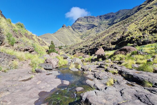 Private Wild Picnic in the North West of Gran Canaria - Highlights of the Picnic