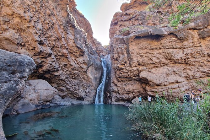 Private Wild Picnic in the North West of Gran Canaria - Exploring the North West