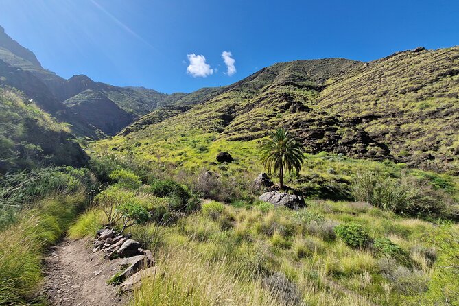 Private Wild Picnic in the North West of Gran Canaria - Preparing for the Adventure