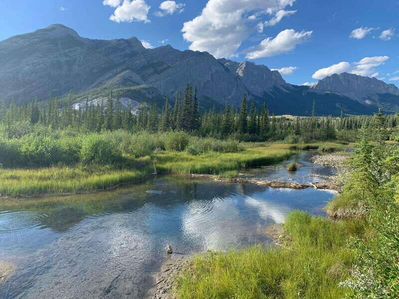 PRIVATE Wilderness and Wildlife Walking Tour - 2.5H - What Makes This Tour Special?