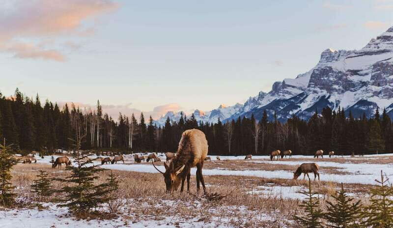 PRIVATE Wilderness and Wildlife Walking Tour - 2.5H - The Experience: Nature, Wildlife, and Education