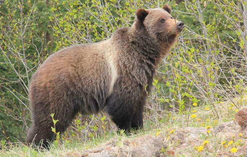 PRIVATE Wilderness and Wildlife Walking Tour - 2.5H - Value and Pricing: Is It Worth It?