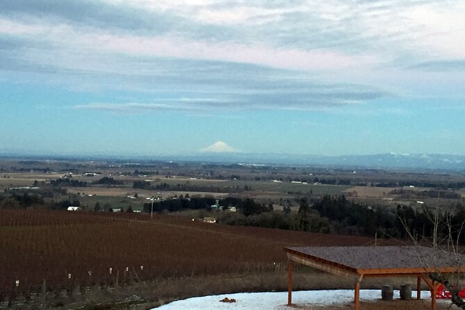Private Willamette Valley Character Winery Tour - Preparing for the Adventure