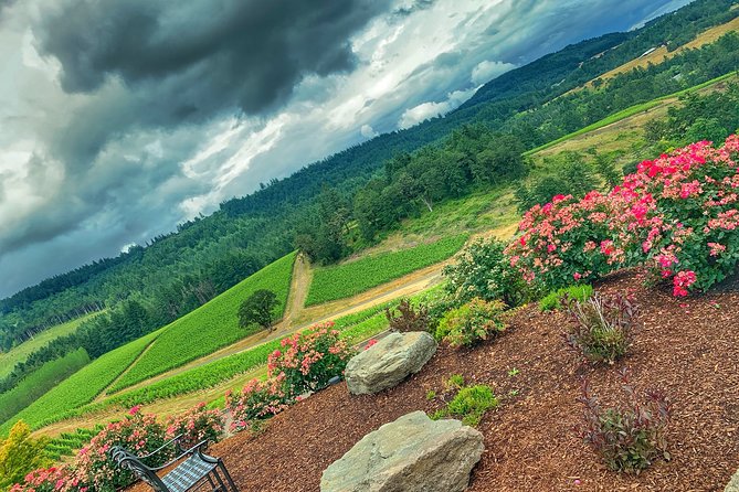 Private Willamette Valley Wine Tasting Tour-Tasting Fees Included - Winery Tasting Experiences