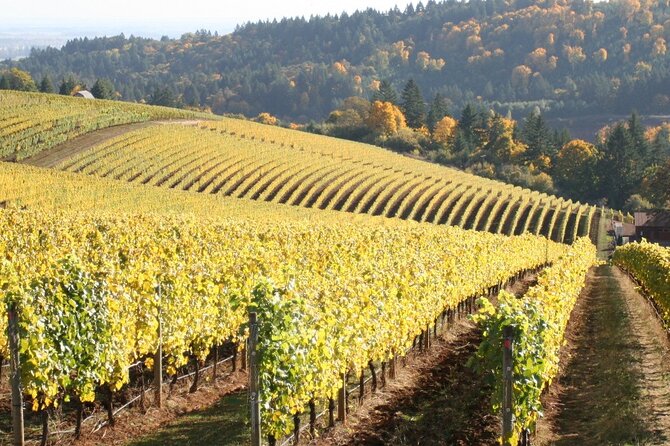 Private Willamette Valley Wine Tour From Portland (All Tasting Fees Included) - Private Transportation