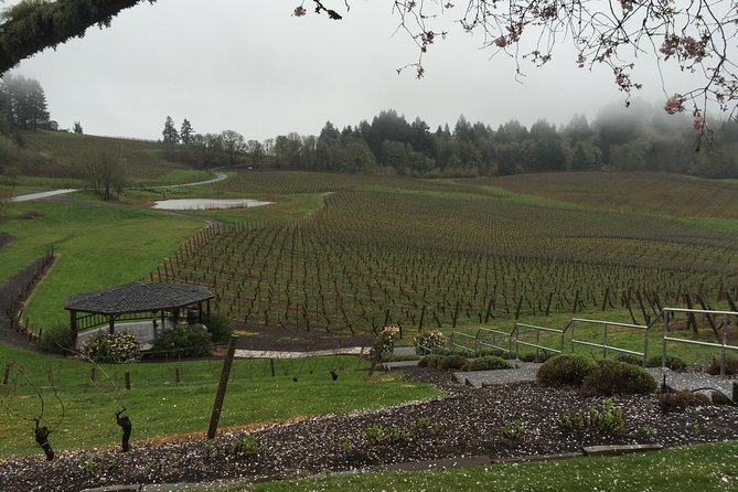 Private - Willamette Valley Wine Tour From Portland (Tasting Fees Included) - Transportation and Pickup