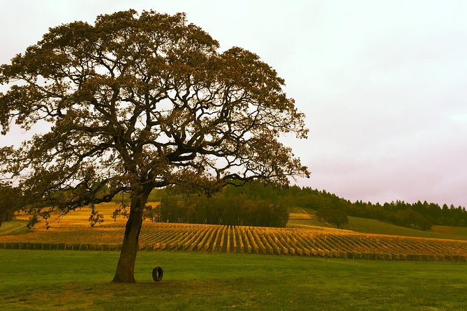 Private - Willamette Valley Wine Tour From Portland (Tasting Fees Included) - Cancellation Policy
