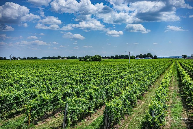 Private Wine and Chocolate Tour in Niagara Wine Region - Winery Visits