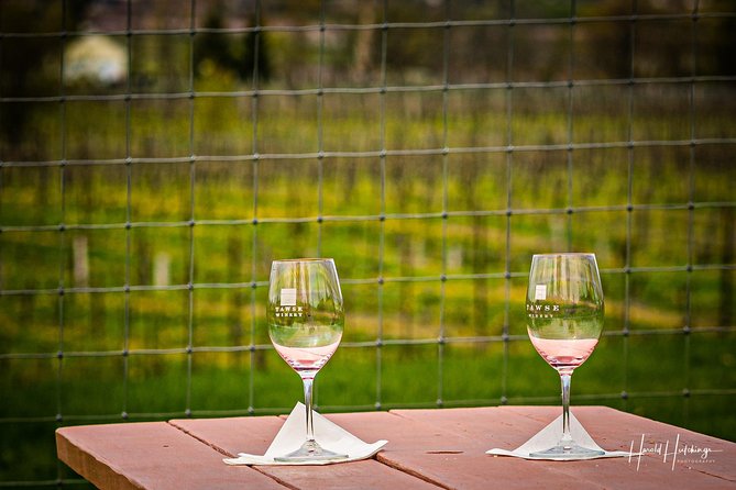 Private Wine and Chocolate Tour in Niagara Wine Region - Chocolate Factory Stop