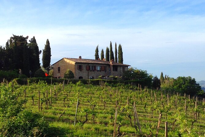 Private Wine and Extra Virgin Olive Oil Tasting - Booking Process