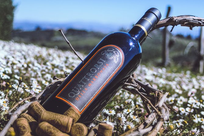 Private Wine and Extra Virgin Olive Oil Tasting - Customer Reviews